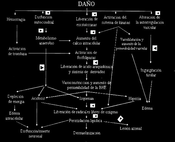 Cómo hacer más culturismo sin esteroides haciendo menos