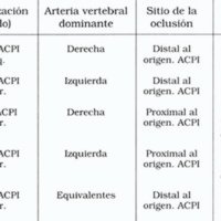 Tabla 1. Resumen de características clínicas y angiográficas de los casos de pseudoaneurismas vertebrales intradurales