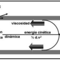 Fig. 4. Esquema del juego de energías que actúan durante la circulación en un segmento de arteria cerebral