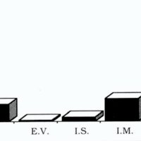 Fig. 4. Glasgow outcome scale