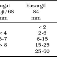 Tabla 1. Cuadro comparativo de la clasificación por tamaño según distintos autores