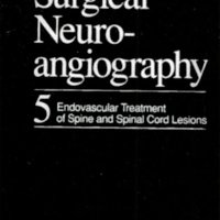 Fig. 1. Surgical Neuroangiography, vol.5. Editado por A. Berenstein y P. Lasjaunias. En inglés, 250 páginas. 118 figuras.<br />
Springer, Berlín, Heidelberg, New York, 1992