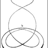 Fig. 4. Trayecto de los haces de músculo liso en la pared del vaso según Görttler