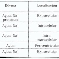Tabla 1. Resumen comparativo de las diferentes modalidades de edema