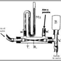 Fig. 6. Detalle de la resistencia periférica artificial del preparado cardiopulmonar de Starling. Ver descripción en el texto.