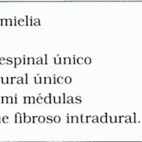 Tabla 3. Médula Espinal Hendida
