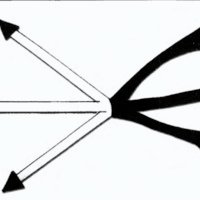 Fig. 1. Disposición triangular del plexo: de acuerdo a esto. según la dirección de la tracción habrá un mayor compromiso de determinado tronco.