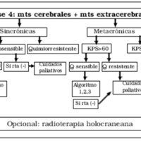 20_04_08_a08fig5.gif