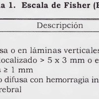ESCALAS DE FISHER ORIGINAL Y MODIFICADA: CORRELACION CON EL RIESGO DE DESARROLLAR VASOESPASMO CEREBRAL
