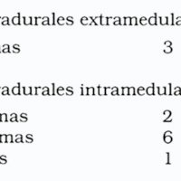 Tabla 2. Distribución según topografía intra y extramedular n = 12 tumores intramedulares