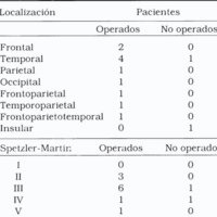 Tabla 1. Localización y grado de Spetzler-Martin en 13 pacientes ingresados