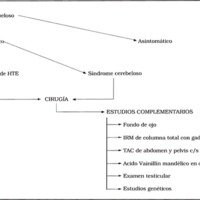 Enfermedad de Von Hippel Lindau y Hemangioblastomas Espinales Asintomáticos: Descripción de un Caso, Revisión y Algoritmo