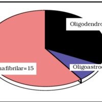 Gráfico l. Distribución de los pacientes según su diagnóstico histopatológico