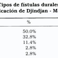 Fístulas Durales Intracraneanas: Riesgos, Pronóstico y Tratamiento<br /><br />
Según la Clasificación de Djindjan - Merland (1992)