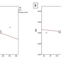 Correlación entre el puntaje obtenido en el cuestionario CSI y los diámetros obtenidos a nivel de la ECL. A) Diámetro antero-posterior (DAP), B) Diámetro lateral (DL).