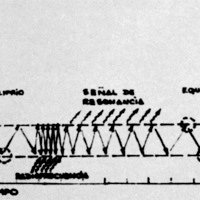 Figura 1: Fenómeno de resonancia magnética por radiofrecuenda aplicada a un sistema sometido a un campo magnético.<br />
diferentes valores, son representadas con diferente intensidad (o brillo).<br />
