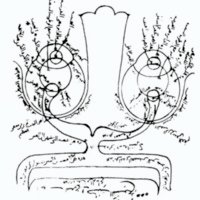 Dibujo publicado en un tratado de óptica de Ibn Al Haythan (1083), El diagrama ilustra con precisión la anatomía del ojo, el nervio y quiasma óptico.