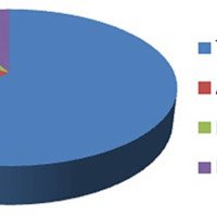 Gráfico 1: Porcentaje de aneurismas del CBPS según localización – Registro CENBA.